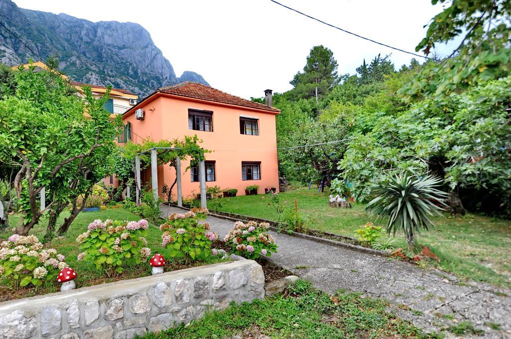 Apartments Vido Kotor Exterior photo