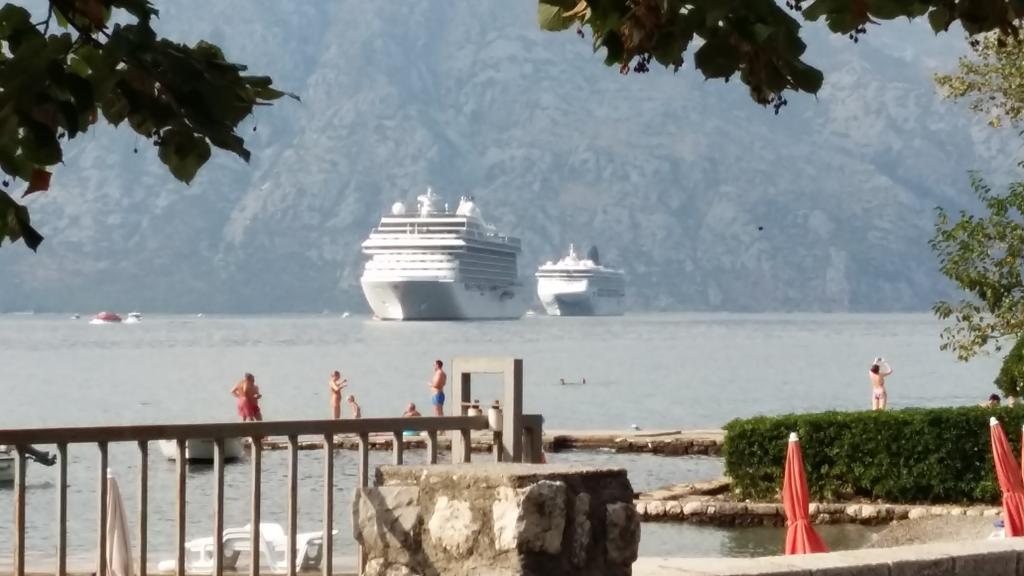Apartments Vido Kotor Exterior photo
